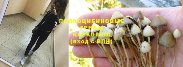 мдпв Осинники