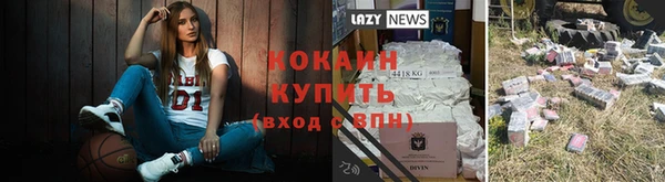 мдпв Осинники