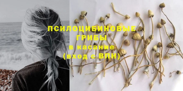 мдпв Осинники