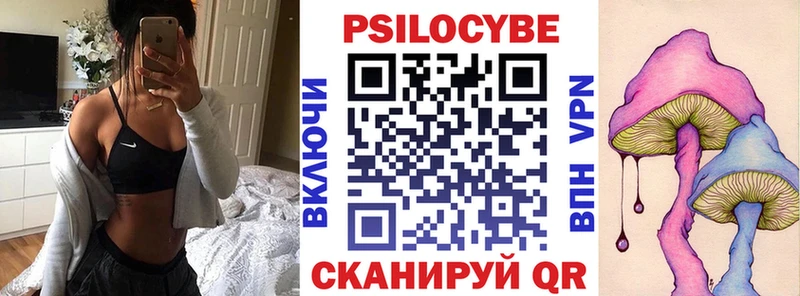 Купить где  Унеча  Галлюциногенные грибы Psilocybe 